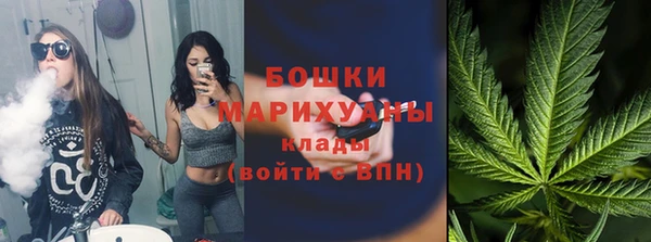 ECSTASY Богородицк