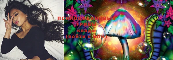 ECSTASY Богородицк
