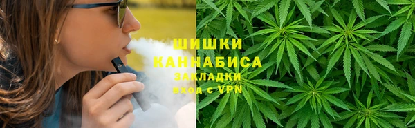 ECSTASY Богородицк